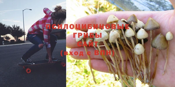 не бодяженный Баксан