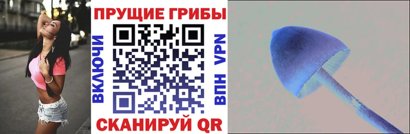 Псилоцибиновые грибы мицелий Свирск